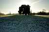 Brockwell Park