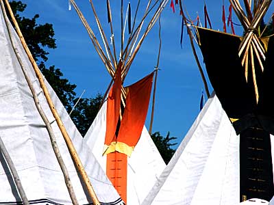 Tipi Field, Glastonbury Festival, June 2005