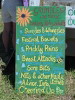 Glastonbury Festival 2004 photos