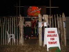 Glastonbury Festival 2004 photos