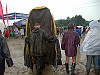 Glastonbury Festival 2005 photos