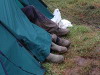 Glastonbury Festival 2005 photos