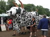 Glastonbury Festival 2005 photos