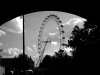 London Eye from Hungerford Bridge