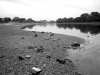 Low tide, Hammersmith