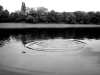 Ripples, River Thames