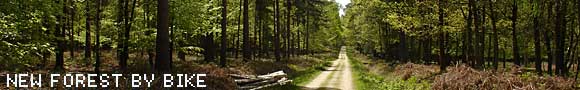Cycling in the New Forest, Brockenhurst, southern England