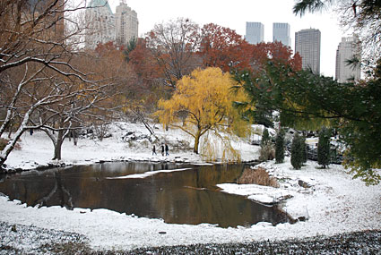 Photos of Central Park in the snow, Manhattan, New York, NY, US, December 2007