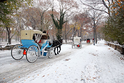 Photos of Central Park in the snow, Manhattan, New York, NY, US, December 2007