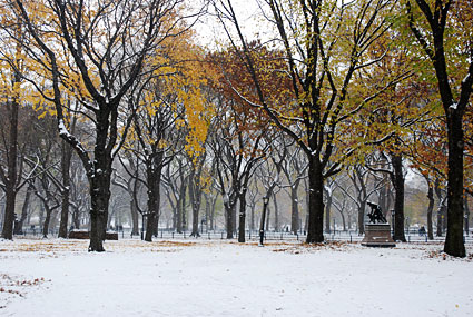 Photos of Central Park in the snow, Manhattan, New York, NY, US, December 2007