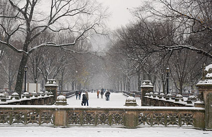 Photos of Central Park in the snow, Manhattan, New York, NY, US, December 2007