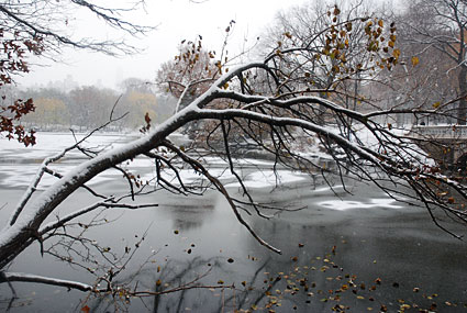 Photos of Central Park in the snow, Manhattan, New York, NY, US, December 2007
