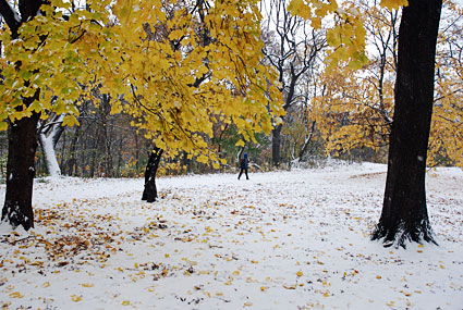 Photos of Central Park in the snow, Manhattan, New York, NY, US, December 2007