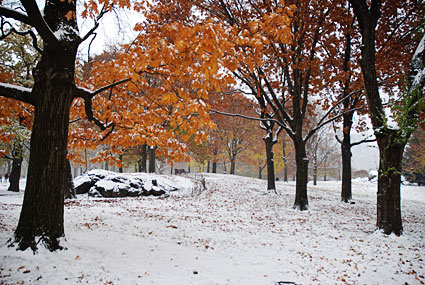 Photos of Central Park in the snow, Manhattan, New York, NY, US, December 2007