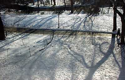 Central Park in the snow
