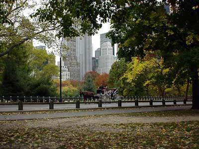 Autumn, Central park