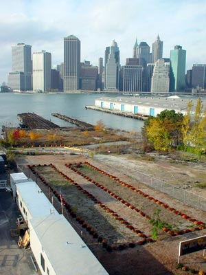 Brooklyn Heights Promenade, Brooklyn, New York