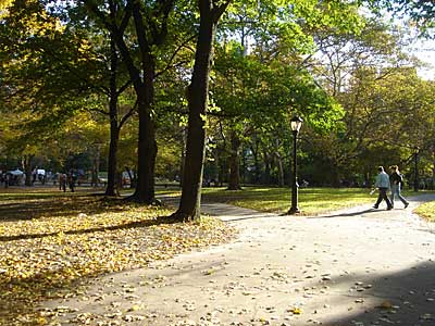 Walking through Central Park, Manhattan, New York, NYC, USA