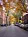 Cranberry Street, Brooklyn Heights