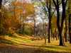 Walking through Central Park