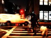 White dog, white van, New York, USA