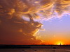 Statue of Liberty , New York, USA
