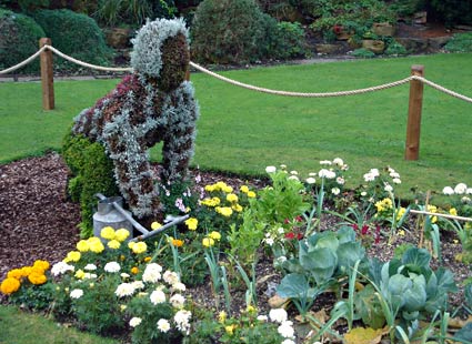Photos of Nottingham, Nottinghamshire, England, UK