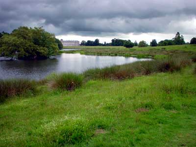 Petworth House and park, West Sussex