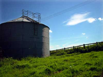 Petworth farm