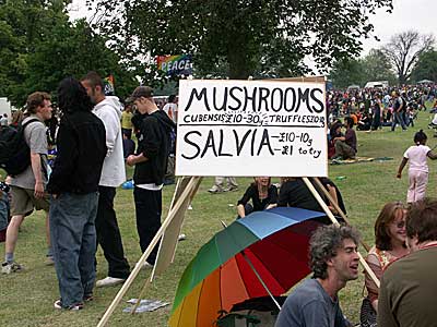 Mushrooms! Jayday Cannabis March and Festival, Brockwell Park 5th June 2004