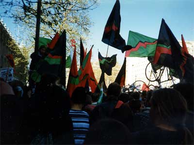 Rebel Yell! Reclaim The Streets, London 12th April 1997