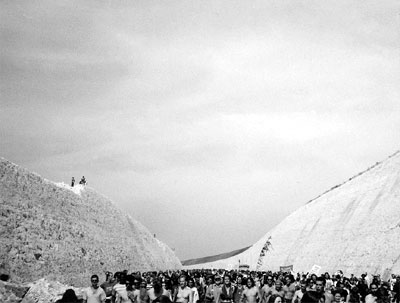 Twyford Down motorway protest, 1994