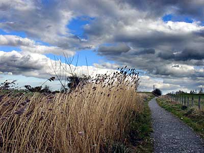 Walking to Camber sands, Rye, Sussex, UK