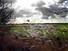 photographs of Rye and Camber Sands, Sussex, England UK