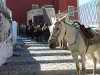 Santorini thumbnails - photographs from the beautiful Greek island of Santorini (Thira) in the Aegean Sea