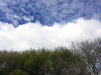 Cornish skyline, on the train to St Ives, Cornwall, April 2004