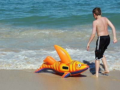 Shark, St Ives, Cornwall, August 2005