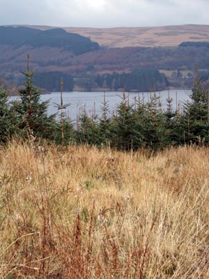 Pentwyn reservoir, Brecon Beacons national park, south Wales photos
