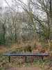 Empty park bench