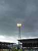 Grey day, Ninian Park