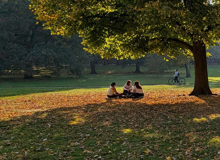 In photos: autumn takes hold in London's Green Park