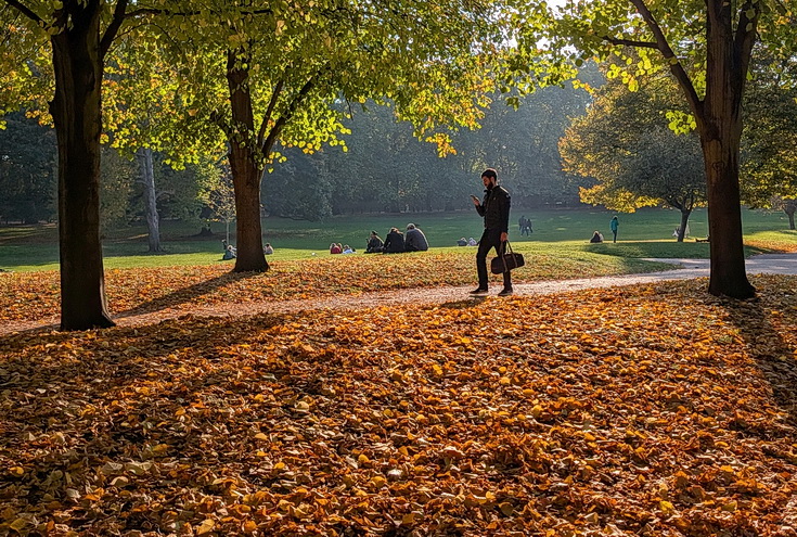 In photos: autumn takes hold in London's Green Park