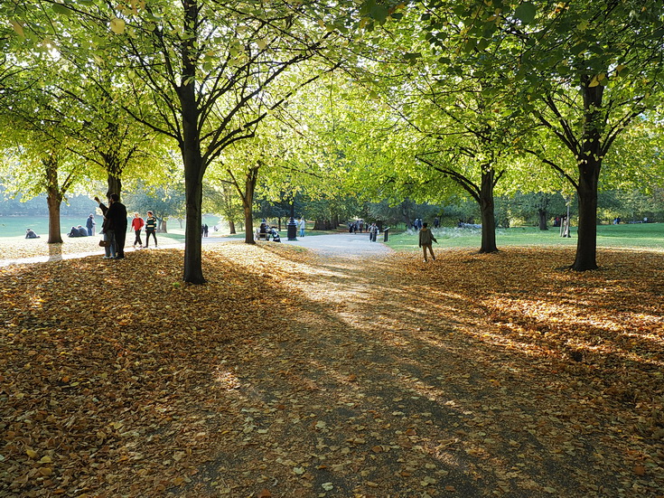 In photos: autumn takes hold in London's Green Park