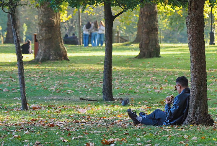 In photos: autumn takes hold in London's Green Park