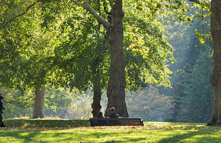 In photos: autumn takes hold in London's Green Park