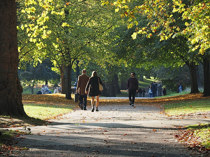 In photos: autumn takes hold in London's Green Park