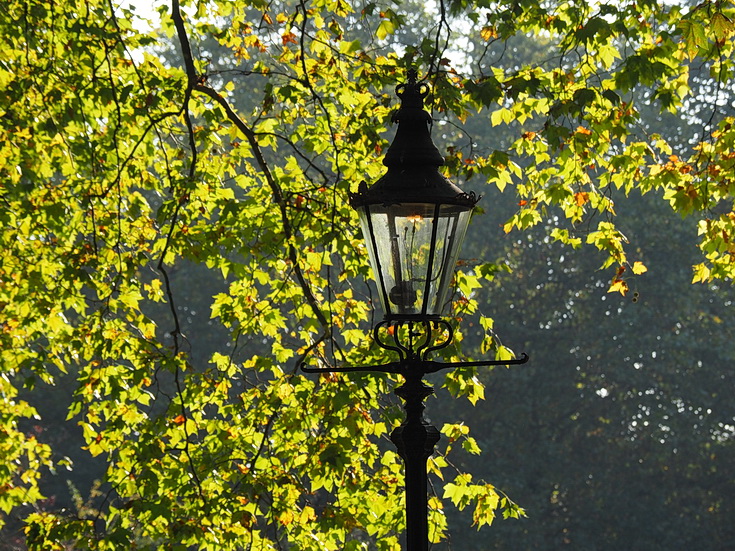 In photos: autumn takes hold in London's Green Park