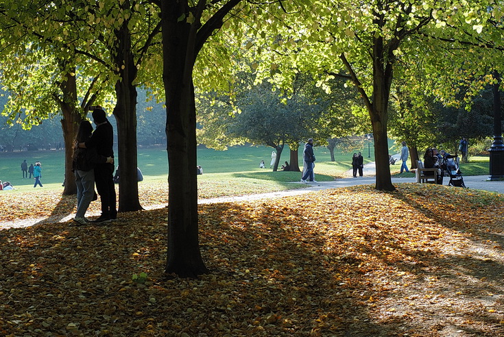 In photos: autumn takes hold in London's Green Park