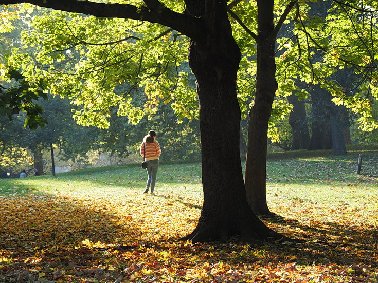 In photos: autumn takes hold in London's Green Park