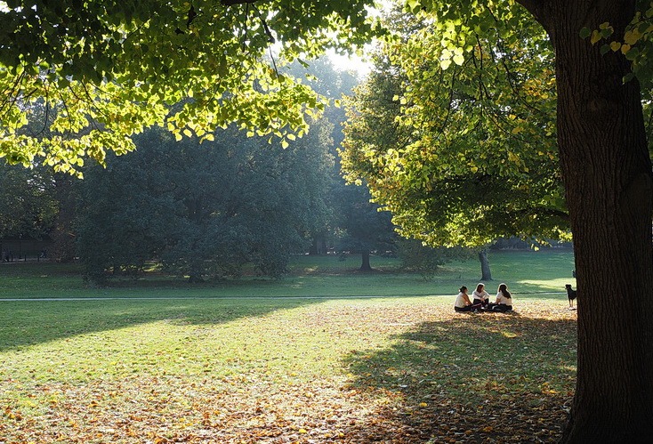 In photos: autumn takes hold in London's Green Park